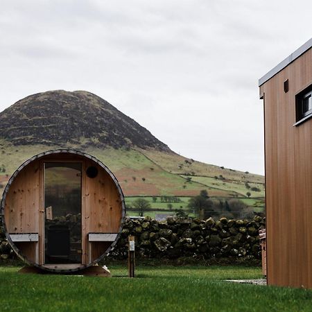 Slemish Hideaway - Funky Pheasant Villa Broughshane Exterior photo